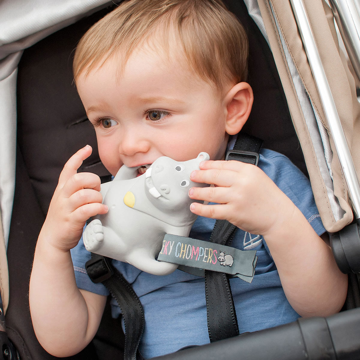 Cheeky Chompers Chewy the Hippo Teether