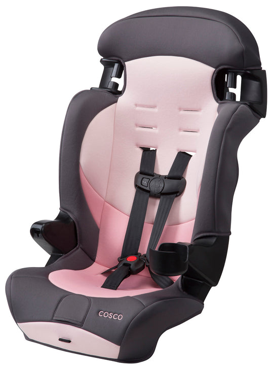 Cosco Finale DX 2-in-1 Harness Booster Car Seat - Sweetberry