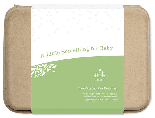 Earth Mama A Little Something For Baby Gift Set