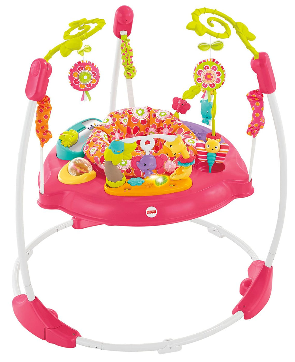 Fisher-Price Pink Petals Jumperoo