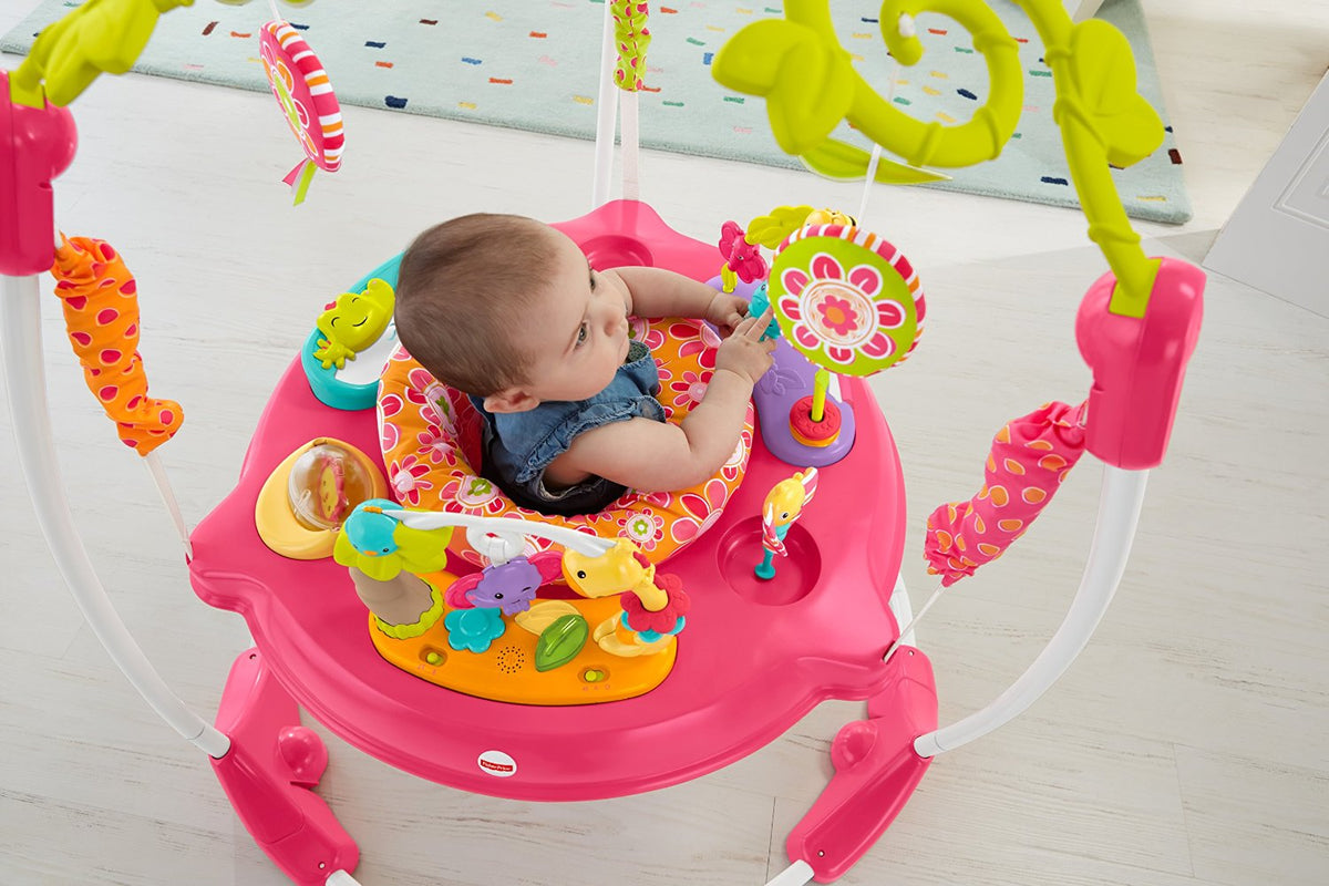 Fisher-Price Pink Petals Jumperoo