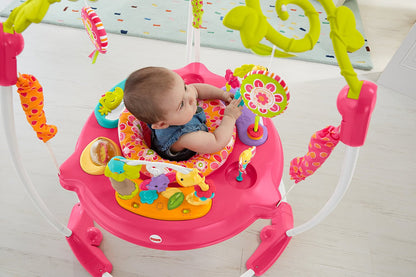 Fisher-Price Pink Petals Jumperoo