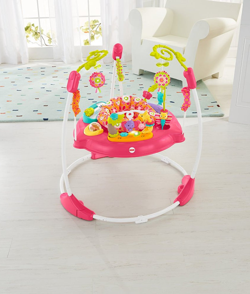 Fisher-Price Pink Petals Jumperoo