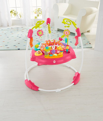 Fisher-Price Pink Petals Jumperoo