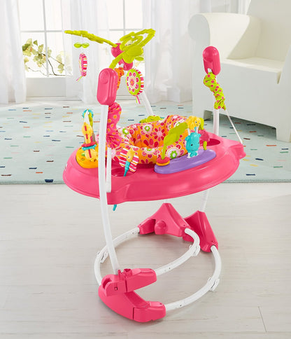 Fisher-Price Pink Petals Jumperoo