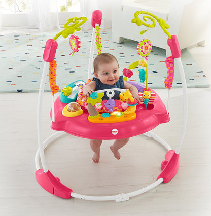 Fisher-Price Pink Petals Jumperoo