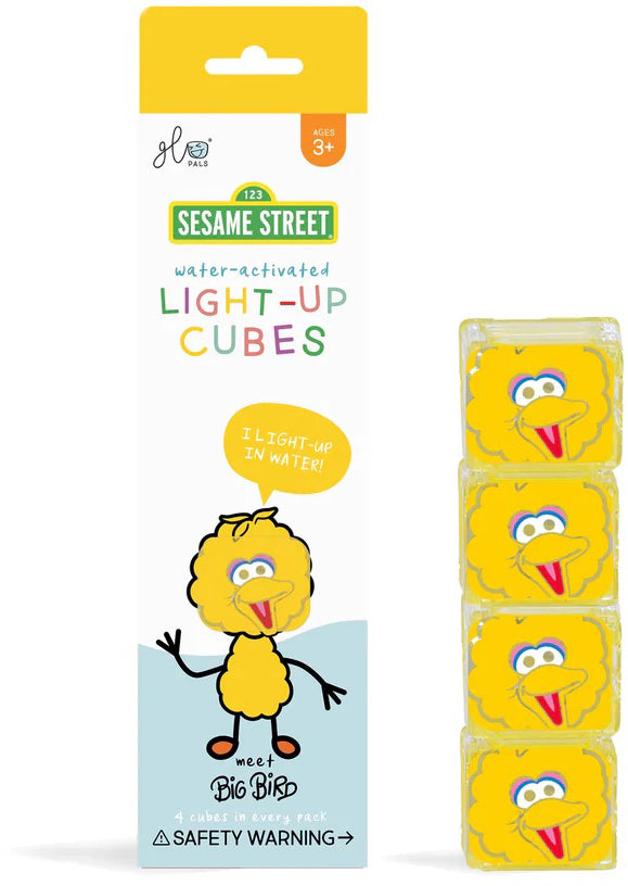 Glo Pals Light Up Cube Bath Toys - Big Bird