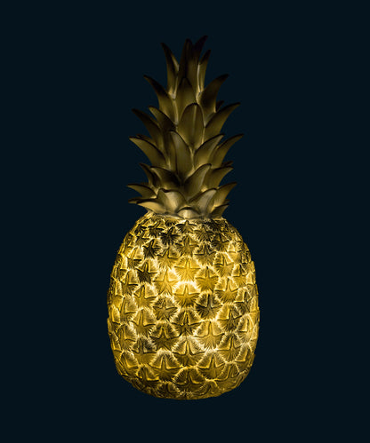 Goodnight Light Pineapple Lamp - Silver