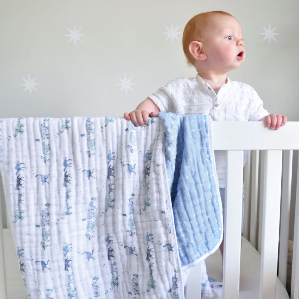 Aden + Anais Classic Dream Blanket - Rising Star