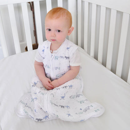 Aden + Anais Classic Sleeping Bag - Rising Star Follow The Stars (0-6 months)