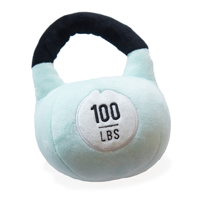 Wonder & Wise Little Lifter Plush Weights