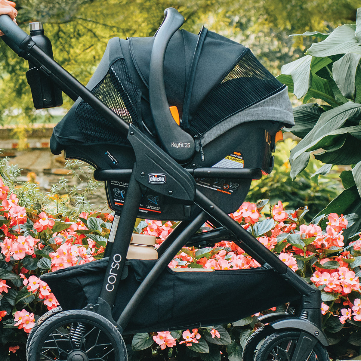 Chicco Corso Primo ClearTex Travel System - Aspen