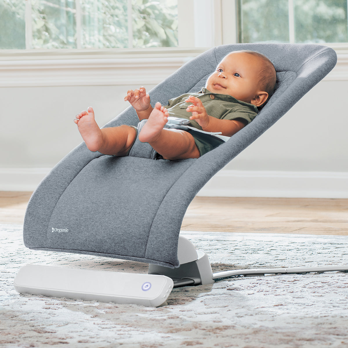 Chicco E-Motion Auto-Glider & Bouncer - Grey