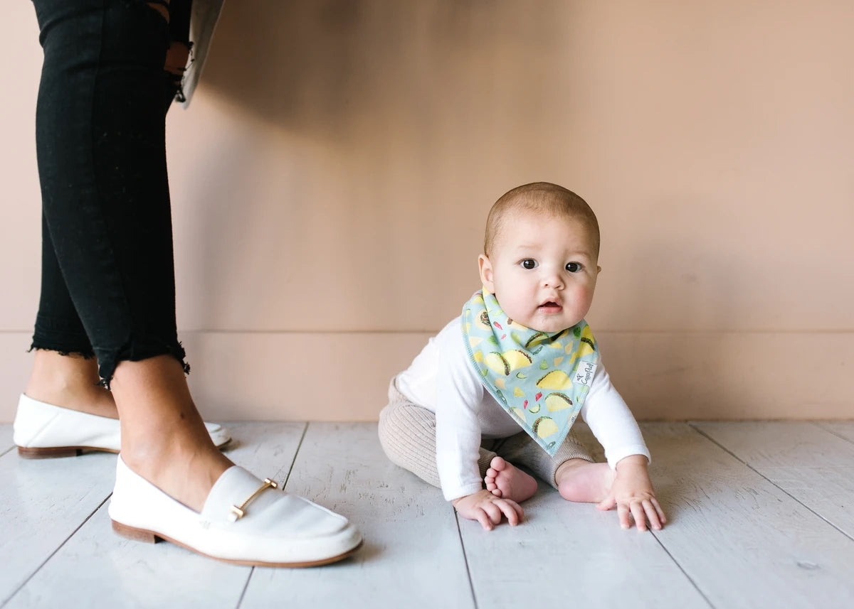 Copper Pearl Baby Bandana Bibs, 4 Pack - Baja