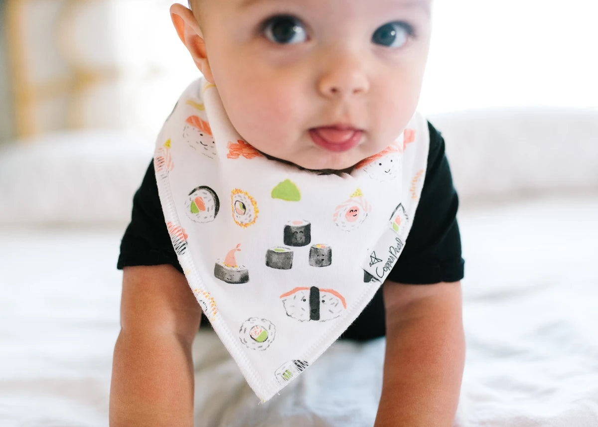 Copper Pearl Baby Bandana Bibs, 4 Pack - Baja