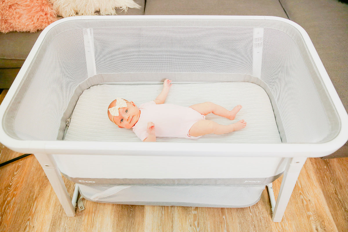 Joovy Coo Portable Bassinet - Gray