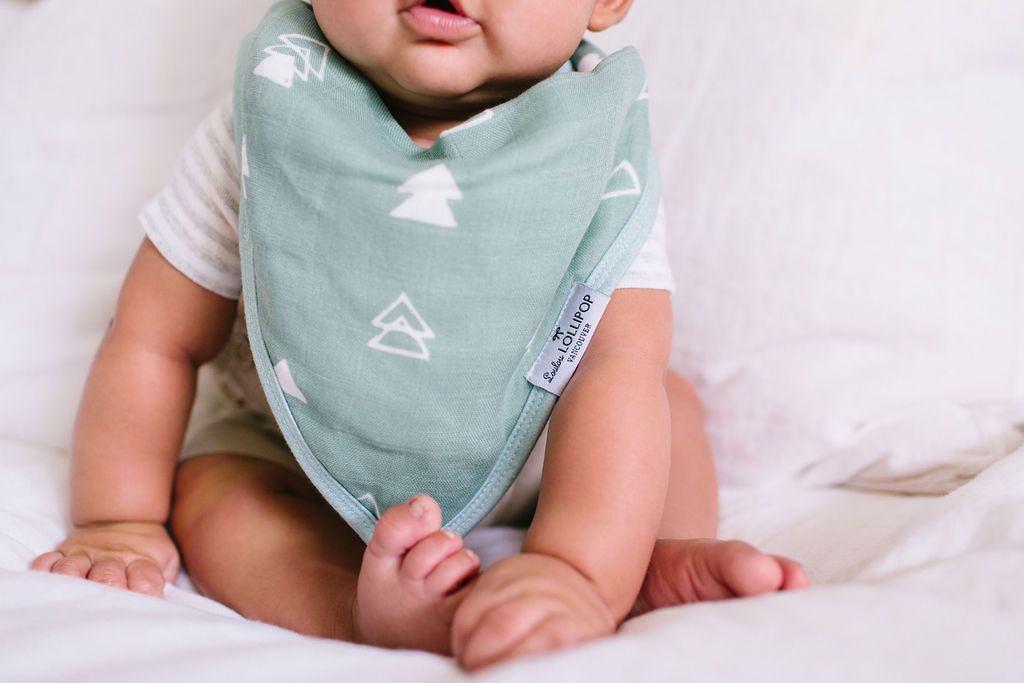 Loulou Lollipop Luxe Muslin Bandana Bib Set - Forest Friends