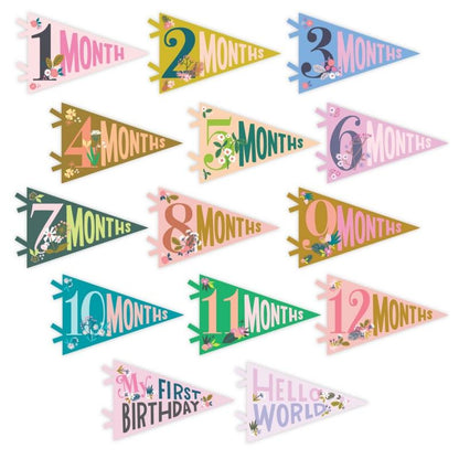 Lucy Darling Petit Milestone Pennant - Little Artist