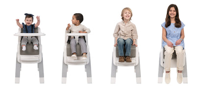 Nuna Zaaz High Chair - Frost