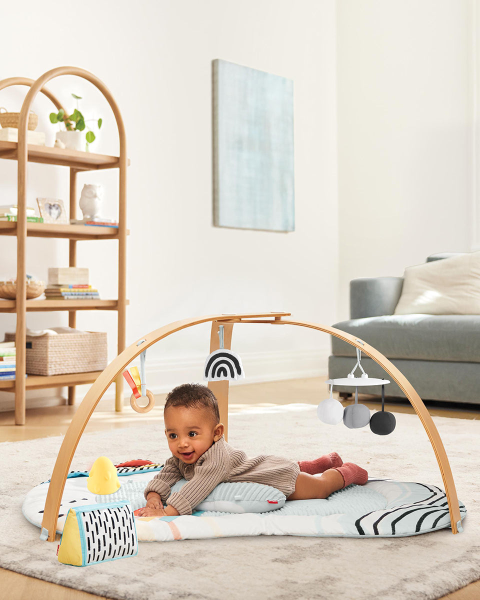 Skip Hop Discoverosity Montessori-Inspired Play Gym