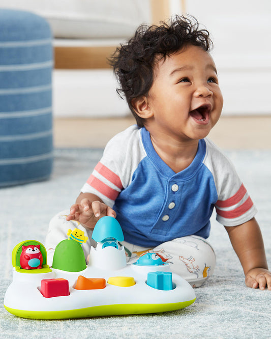 Skip Hop Explore & More Pop Up Toy