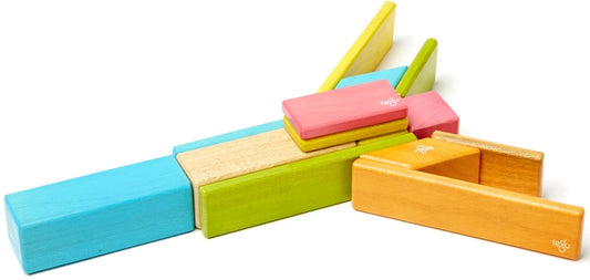 Tegu 14 Piece Magnetic Blocks Set - Tegu Tints