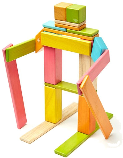 Tegu 24 Piece Magnetic Blocks Set - Tegu Tints