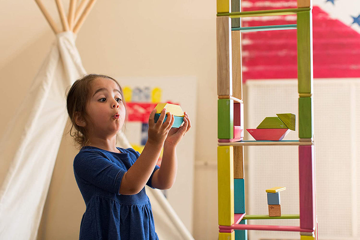 Tegu 24 Piece Magnetic Wooden Block Set - Blossom