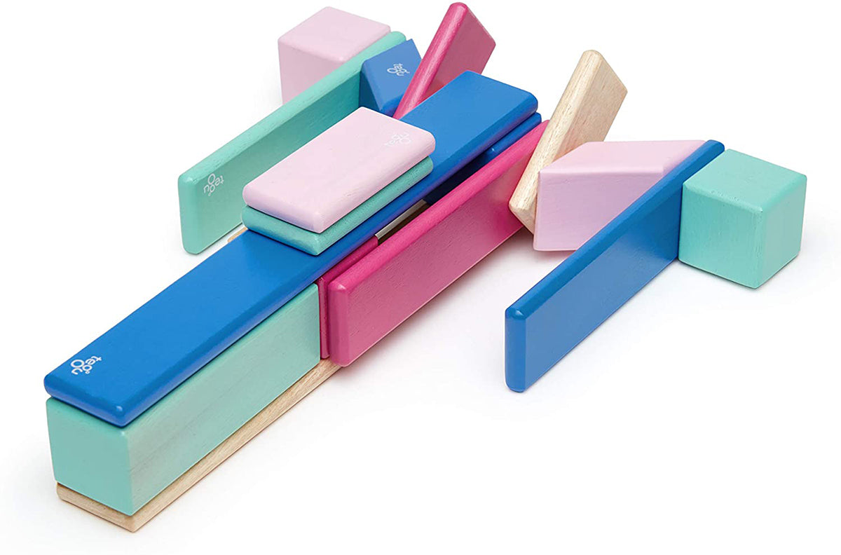 Tegu 24 Piece Magnetic Wooden Block Set - Blossom