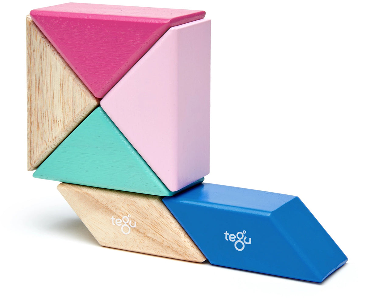 Tegu Pocket Pouch Prism 6 Piece Magnetic Blocks - Blossom