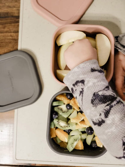 The Dearest Grey Mini Bento Box - Rosewood