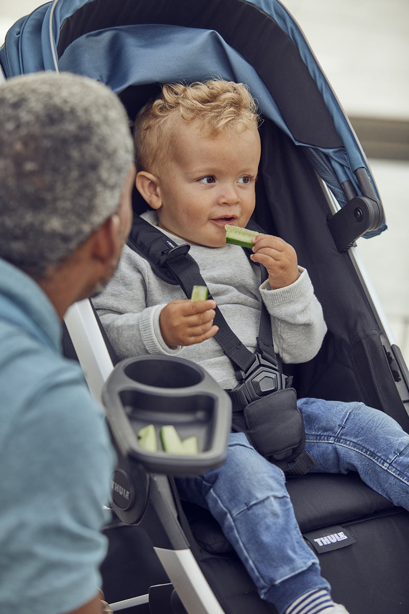 Thule Spring Snack Tray