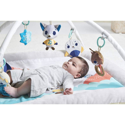 Tiny Love Polar Wonders Plush Gymini Activity Mat