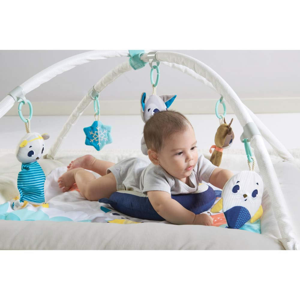 Tiny Love Polar Wonders Plush Gymini Activity Mat