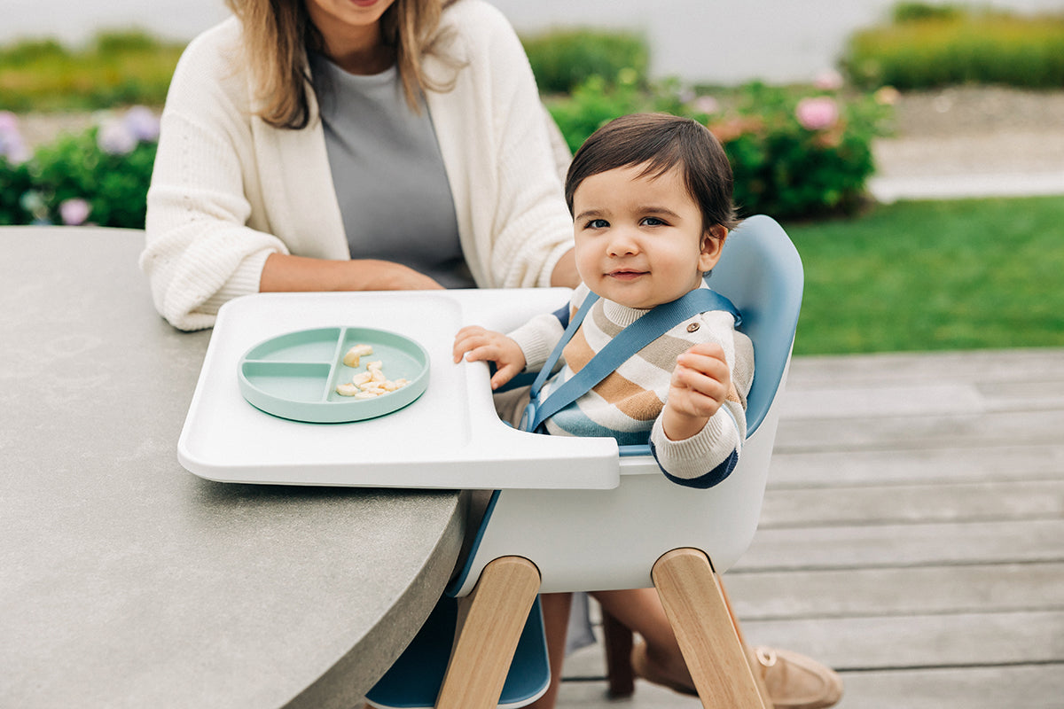 UPPAbaby Ciro High Chair - Caleb (Steel Blue)