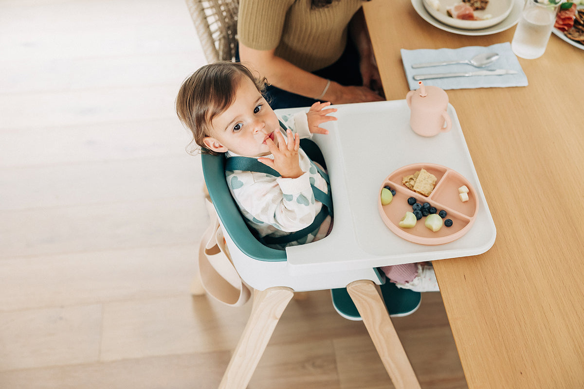 UPPAbaby Ciro High Chair - Emrick (Spruce Green)