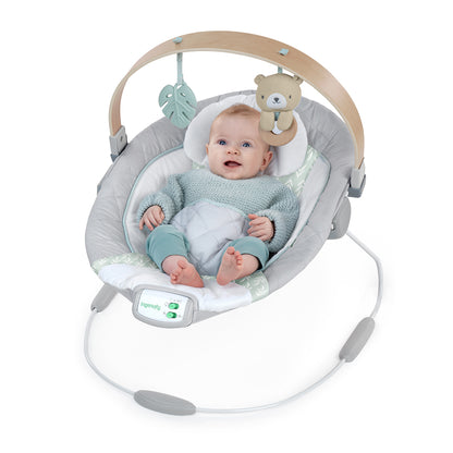 Kids2 Ingenuity Cozy Spot Soothing Bouncer