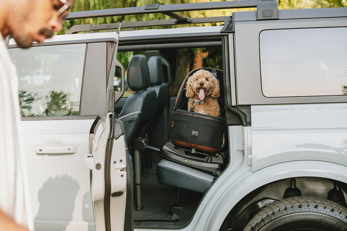 Tavo Pets Maeve Pet Car Seat, Medium Rigid - Merle