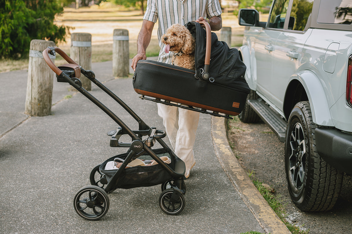 Tavo Pets Maeve + Roscoe 3-IN-1 Pet Protection System, Medium Rigid - Brindle