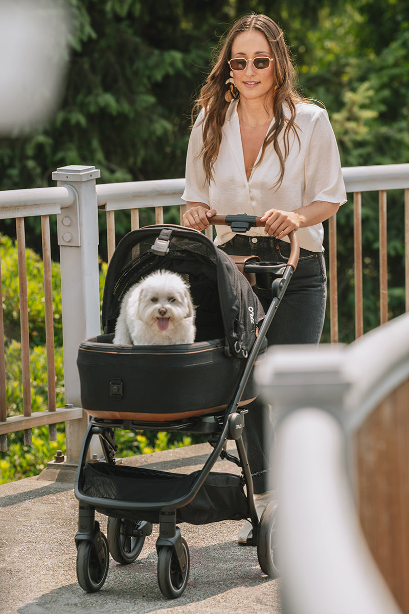 Tavo Pets Roscoe Stroller Frame for Maeve Pet Protection System - Black