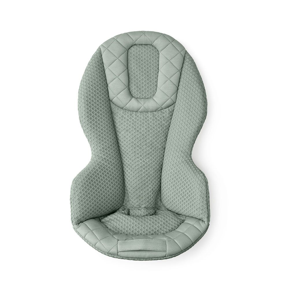 Ergobaby 3-in-1 Evolve Mesh Bouncer - Sage Green