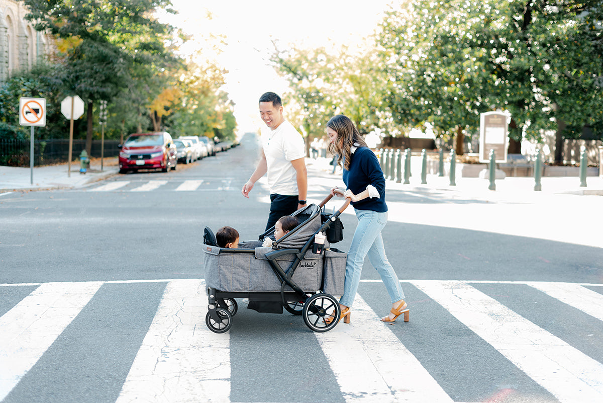 Larktale Sprout V2 Single-to-Double Stroller Wagon - Byron Black