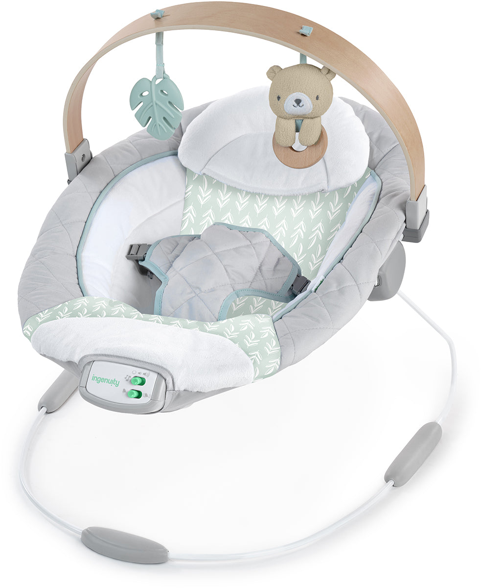 Kids2 Ingenuity Cozy Spot Soothing Bouncer