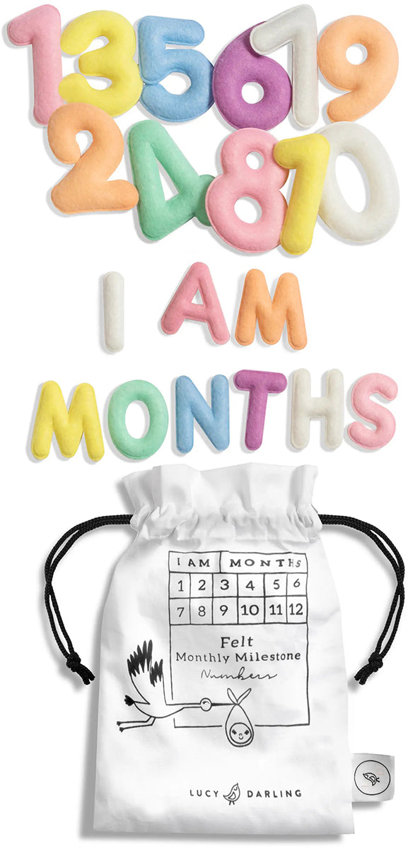 Lucy Darling Monthly Milestone Felt Letters - Pastel