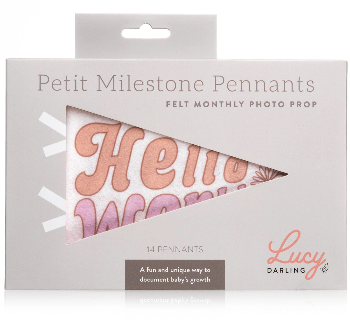 Lucy Darling Petit Milestone Pennant - Flower Child