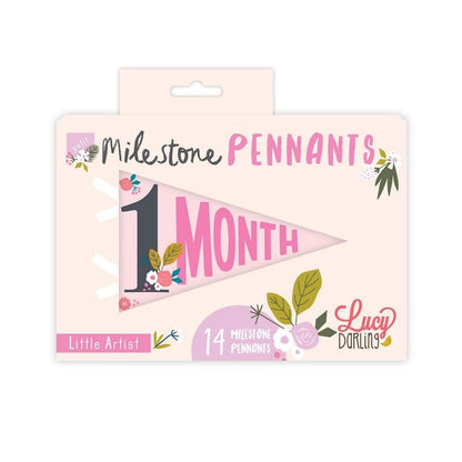 Lucy Darling Petit Milestone Pennant - Little Artist