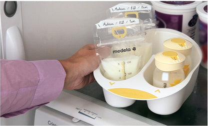 Medela Breastmilk Storage Solution