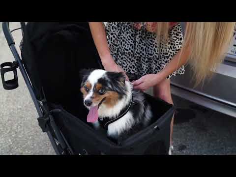 WonderFold Pet Stroller - Midnight Blue