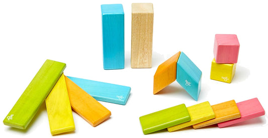 Tegu 14 Piece Magnetic Blocks Set - Tegu Tints