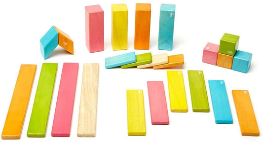 Tegu 24 Piece Magnetic Blocks Set - Tegu Tints